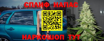 гидра Кулебаки